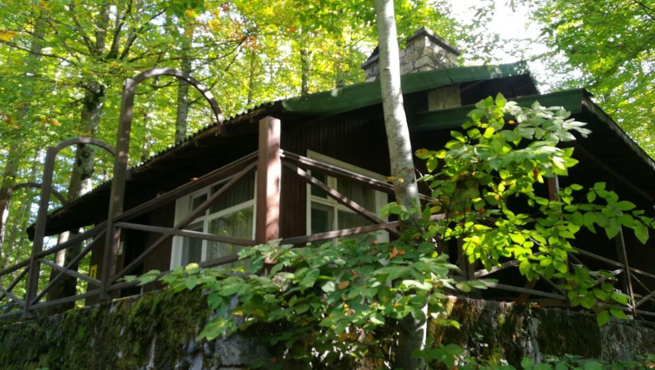 Habitat Mesire Pension Mengen Buitenkant foto