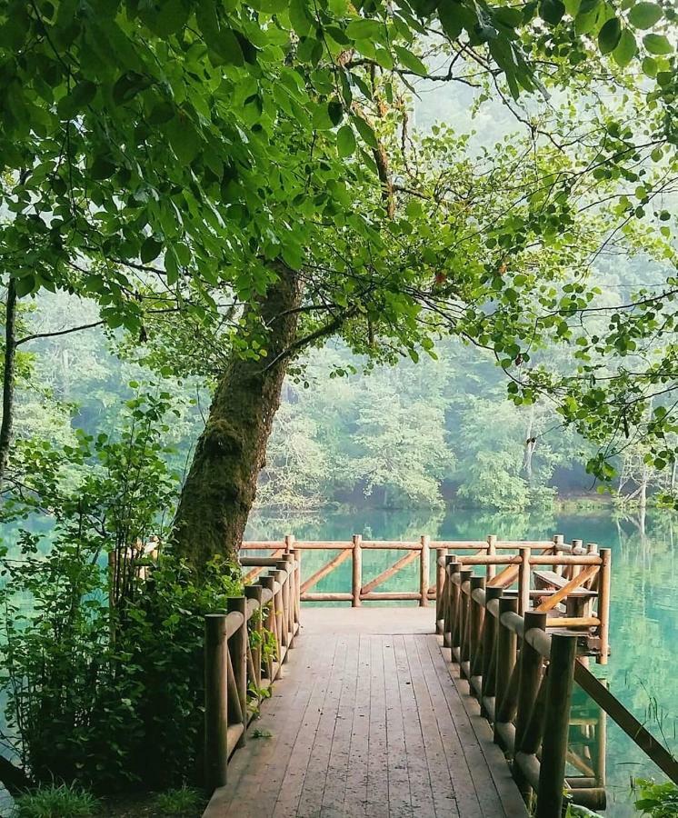 Habitat Mesire Pension Mengen Buitenkant foto
