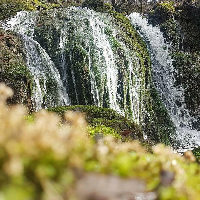 Habitat Mesire Pension Yaylatepe Buitenkant foto