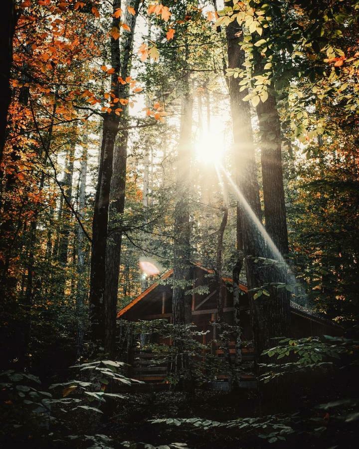 Habitat Mesire Pension Mengen Buitenkant foto