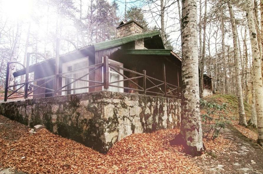 Habitat Mesire Pension Mengen Buitenkant foto