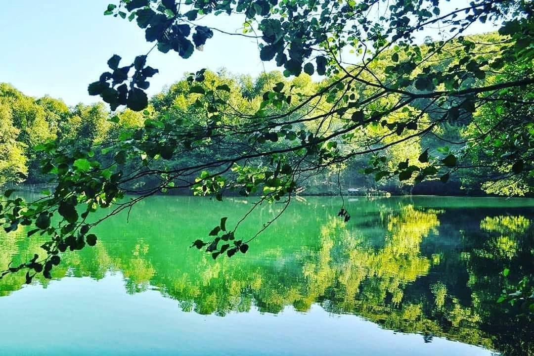Habitat Mesire Pension Mengen Buitenkant foto
