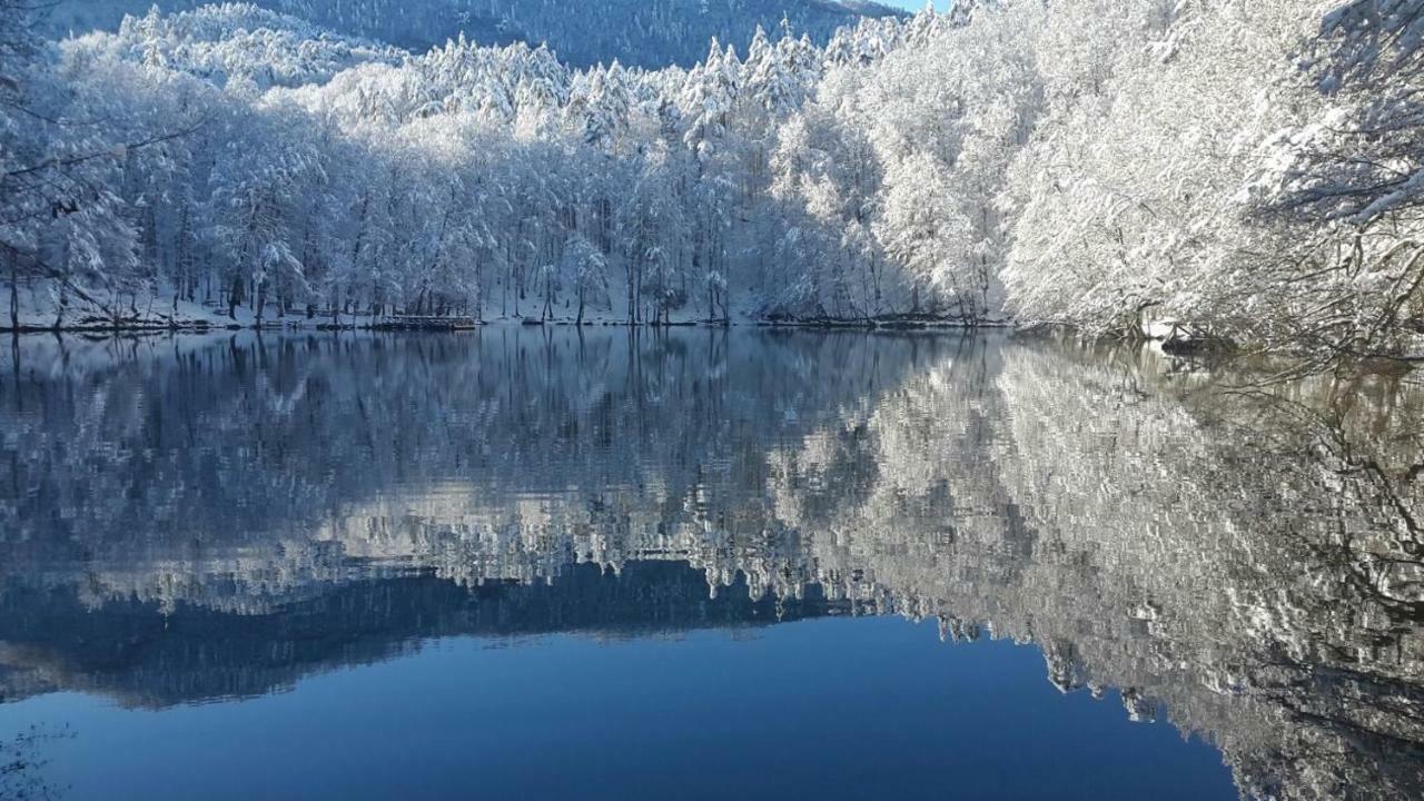 Habitat Mesire Pension Mengen Buitenkant foto