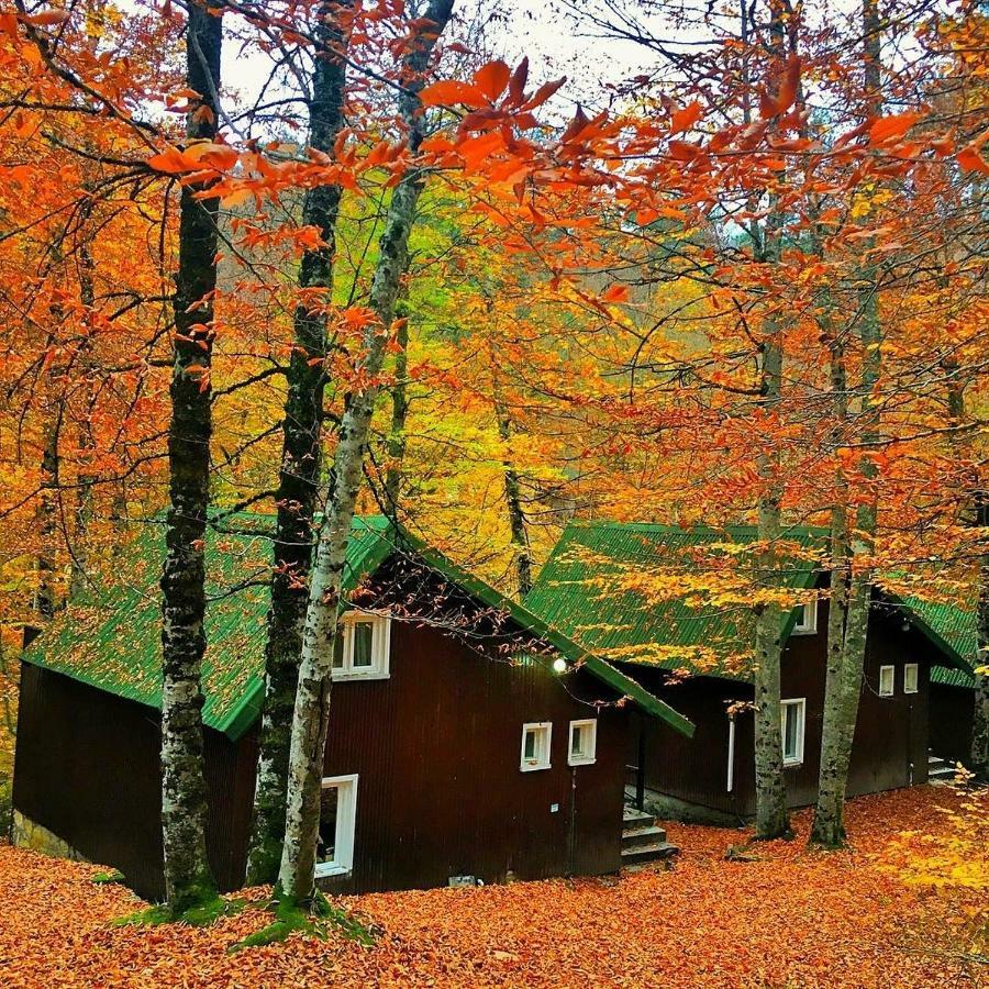 Habitat Mesire Pension Mengen Buitenkant foto