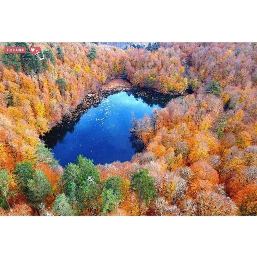 Habitat Mesire Pension Yaylatepe Buitenkant foto