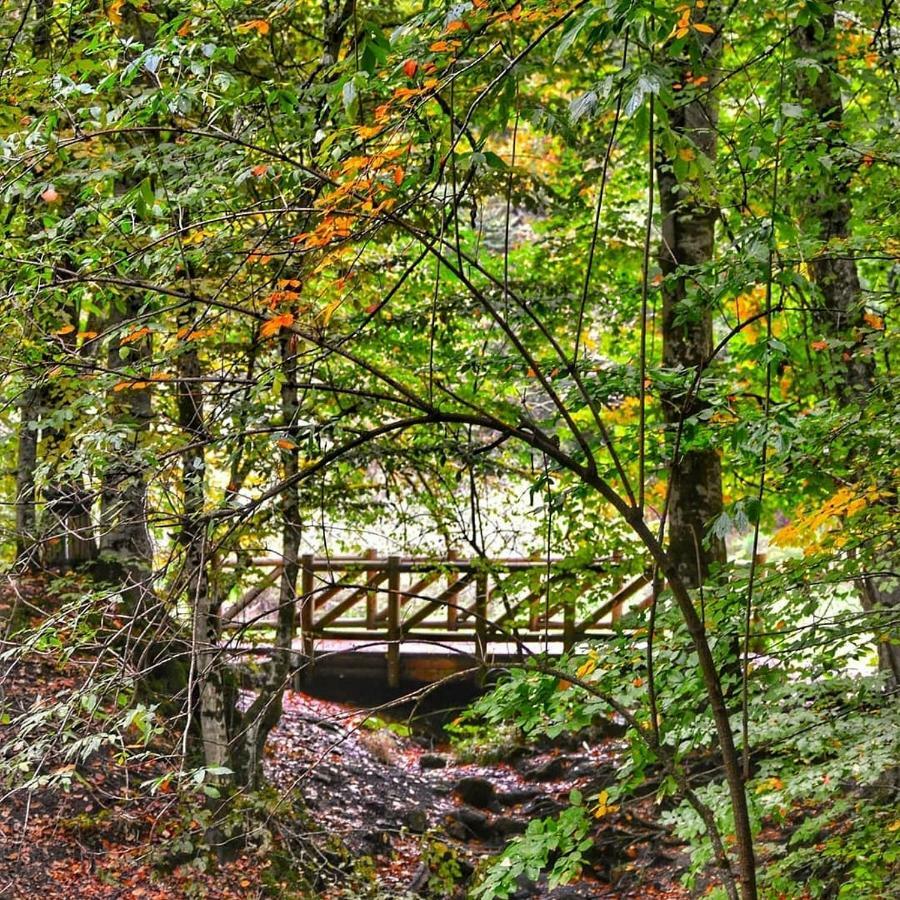 Habitat Mesire Pension Yaylatepe Buitenkant foto