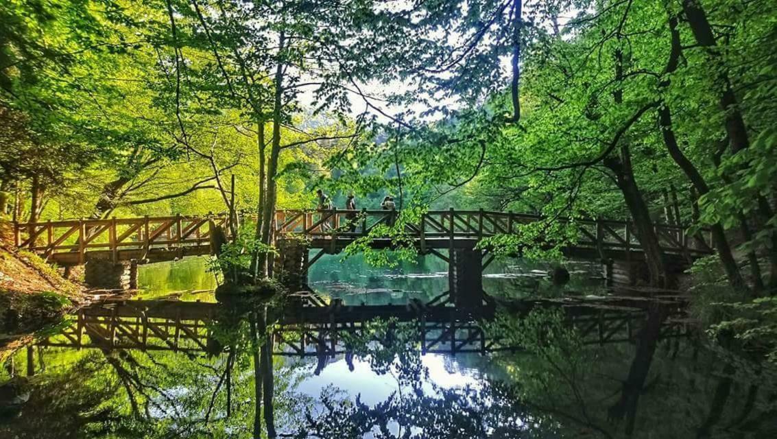 Habitat Mesire Pension Mengen Buitenkant foto