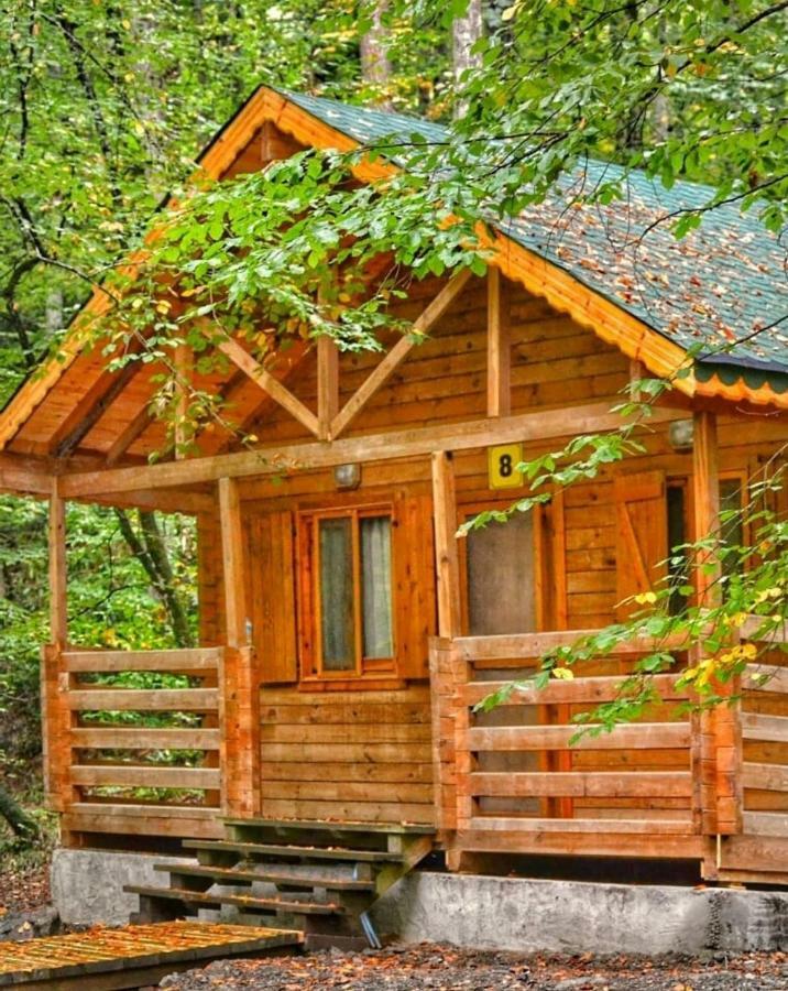 Habitat Mesire Pension Mengen Buitenkant foto
