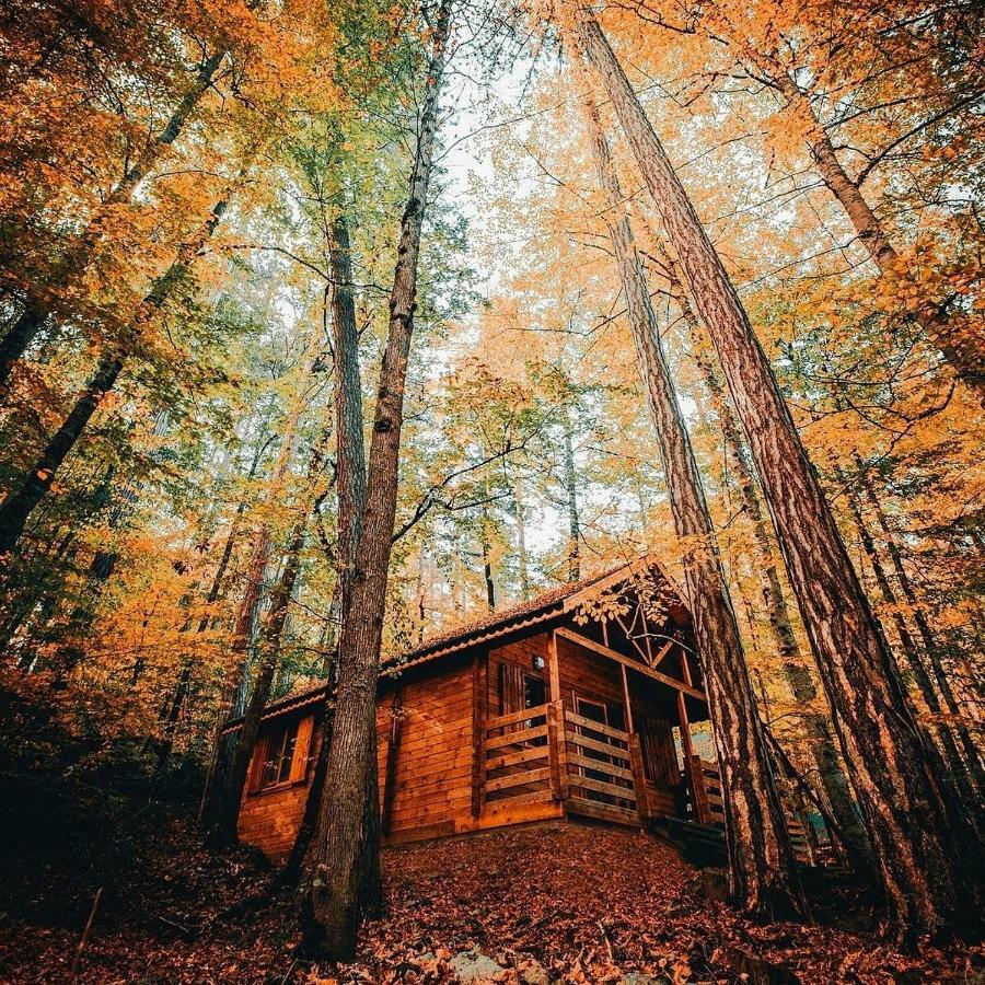 Habitat Mesire Pension Mengen Buitenkant foto