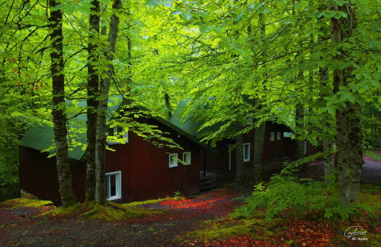 Habitat Mesire Pension Mengen Buitenkant foto